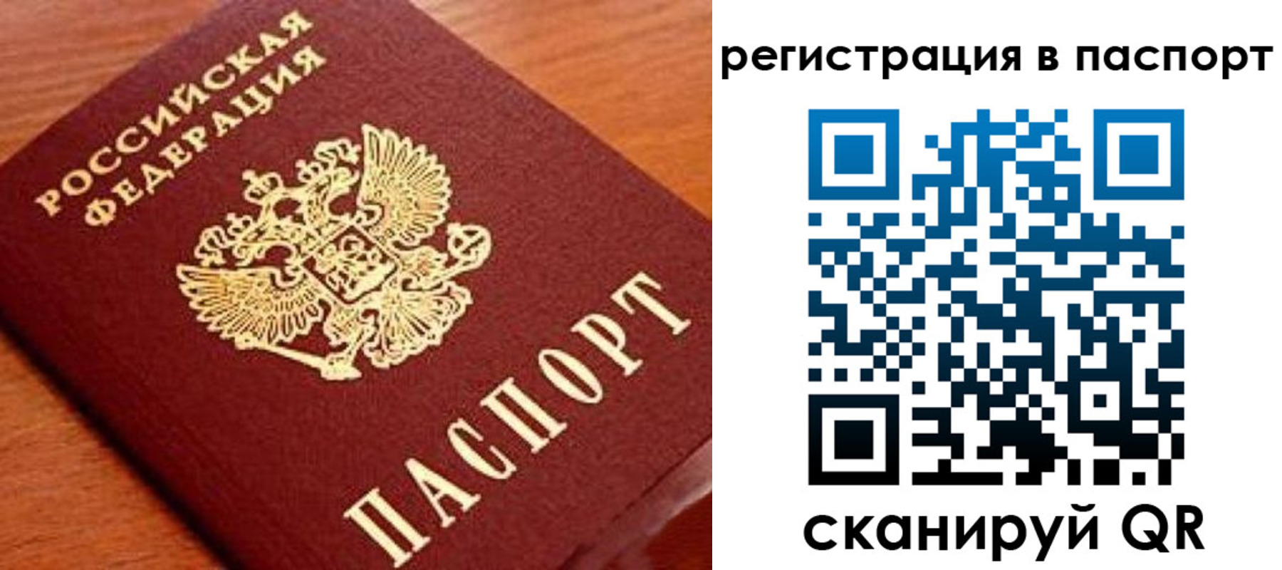 временная регистрация в Стародубе