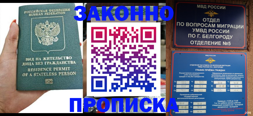 прописка для кредита в Стародубе